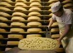 Rokiškio sūris steigs maisto pramonininkų asociaciją